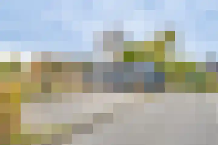 Schapenland 4 Broek op Langedijk thumbnail 45