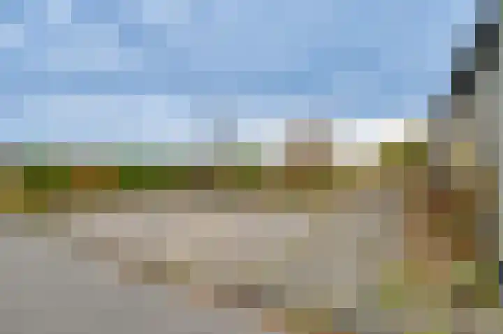 Schapenland 4 Broek op Langedijk thumbnail 46