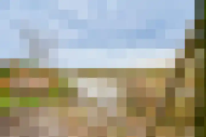 Schapenland 4 Broek op Langedijk thumbnail 47