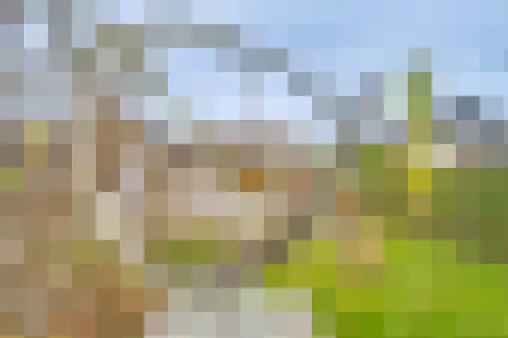 Schapenland 4 Broek op Langedijk thumbnail 48