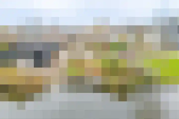 Schapenland 4 Broek op Langedijk thumbnail 49