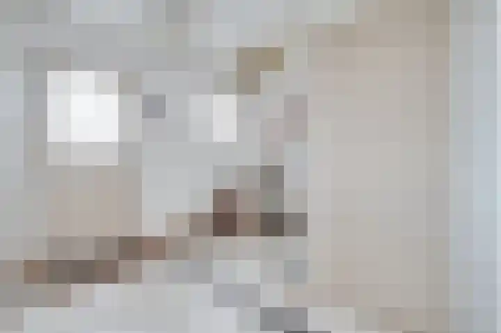 Schapenland 4 Broek op Langedijk thumbnail 5