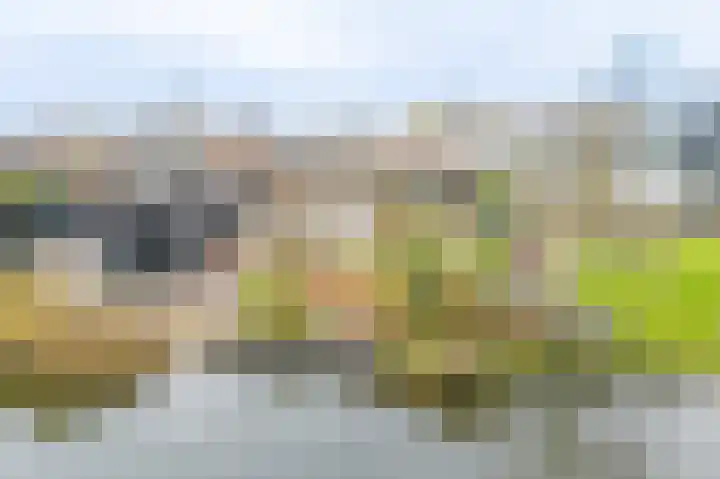 Schapenland 4 Broek op Langedijk thumbnail 50