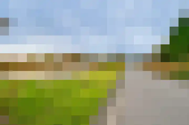 Schapenland 4 Broek op Langedijk thumbnail 52