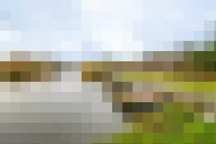 Schapenland 4 Broek op Langedijk thumbnail 53