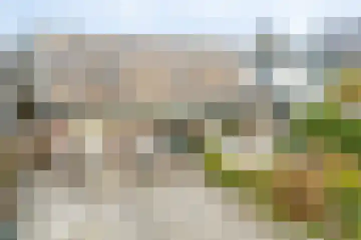 Schapenland 4 Broek op Langedijk thumbnail 55