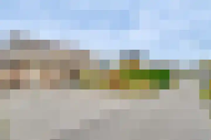 Schapenland 4 Broek op Langedijk thumbnail 56
