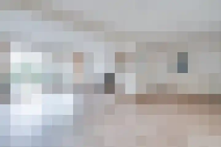 Schapenland 4 Broek op Langedijk thumbnail 7