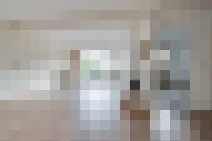 Schapenland 4 Broek op Langedijk thumbnail 8