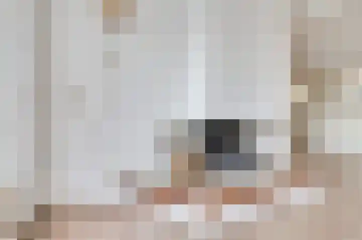 Schapenland 4 Broek op Langedijk thumbnail 9