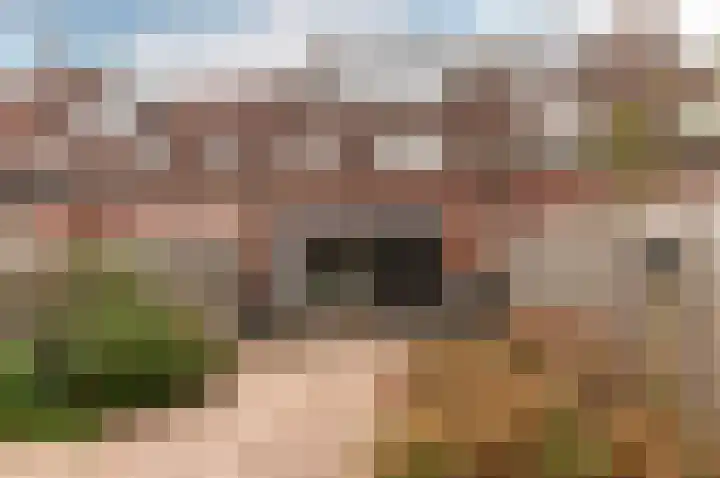 Schapenmeent 146 Almere thumbnail 25