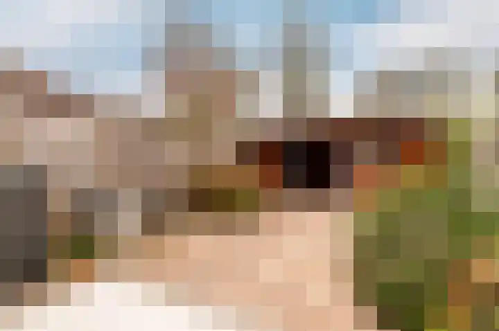 Schapenmeent 146 Almere thumbnail 27