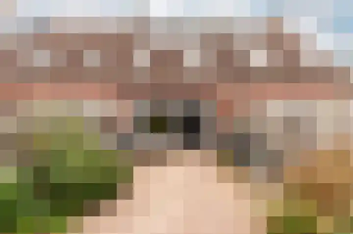 Schapenmeent 146 Almere thumbnail 30