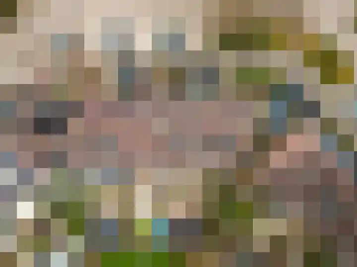 Schapenmeent 146 Almere thumbnail 31