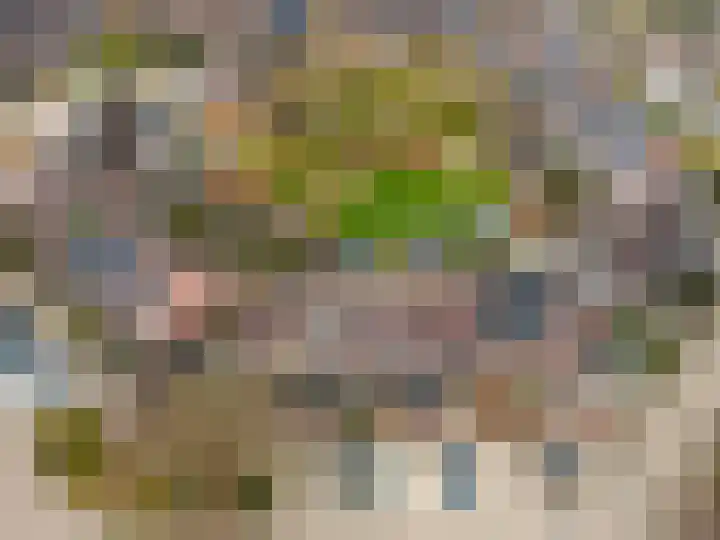 Schapenmeent 146 Almere thumbnail 33