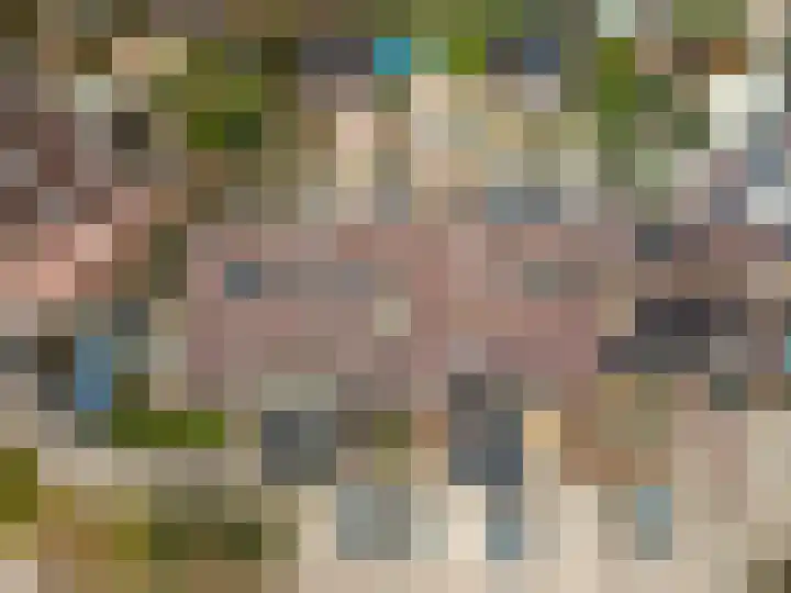 Schapenmeent 146 Almere thumbnail 34