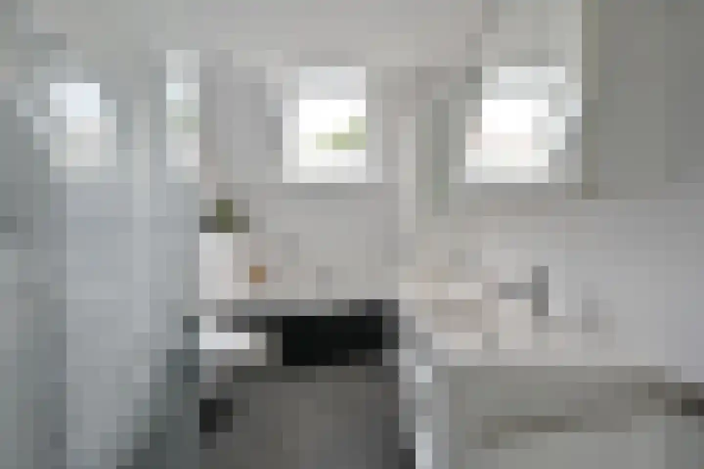 Schapenmeent 157 Almere thumbnail 13