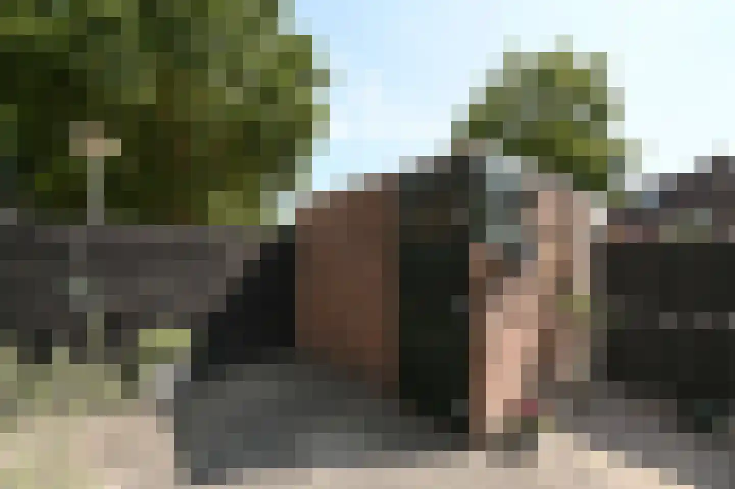 Schapenmeent 157 Almere thumbnail 19