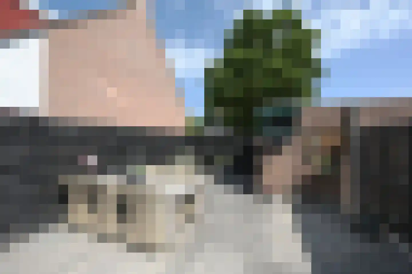 Schapenmeent 157 Almere thumbnail 20