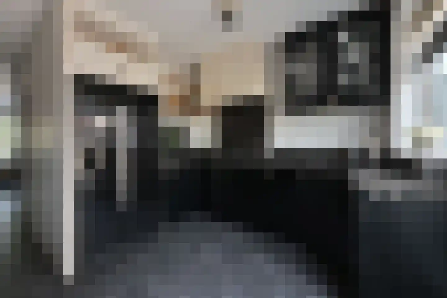 Schapenmeent 157 Almere thumbnail 4