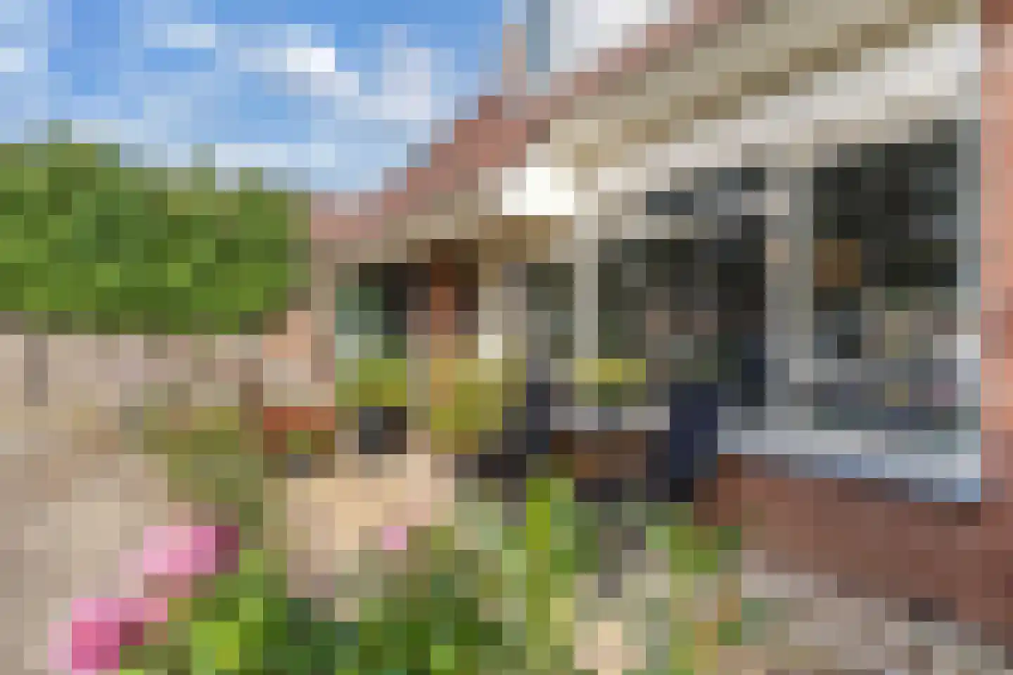 Schapenmeent 162 Almere thumbnail 12