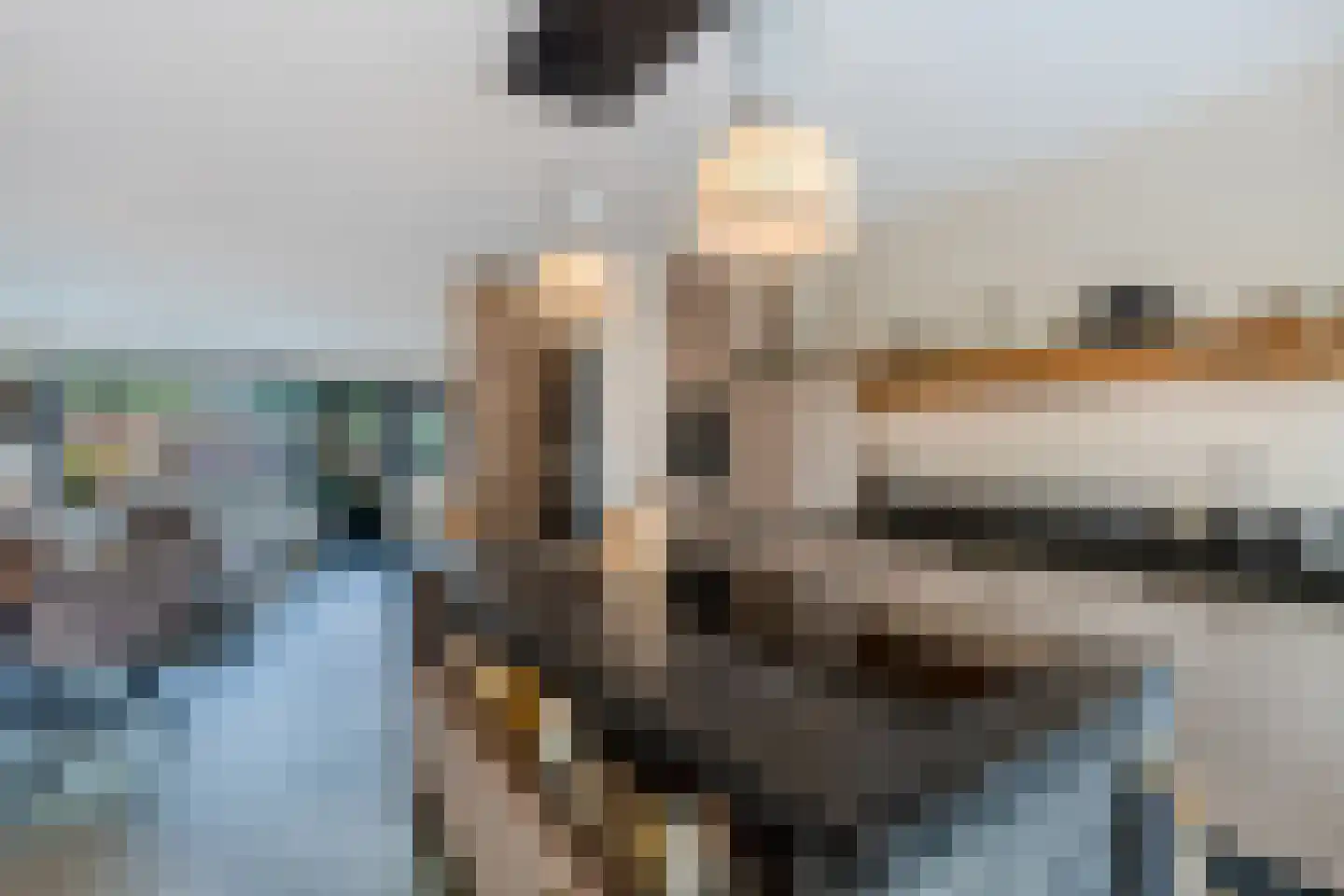 Schapenmeent 162 Almere thumbnail 28