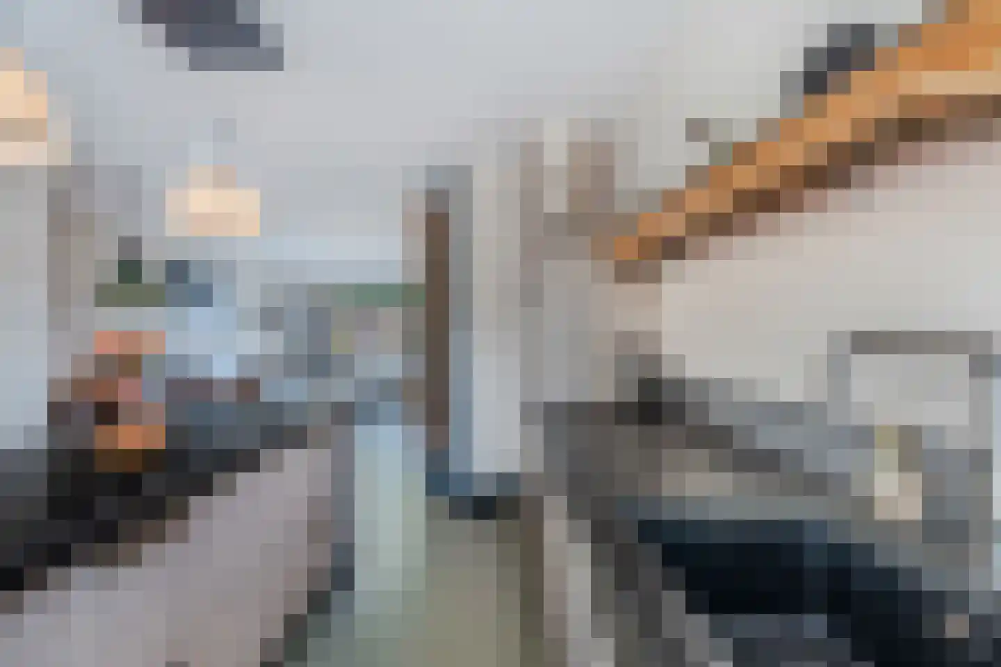 Schapenmeent 162 Almere thumbnail 33