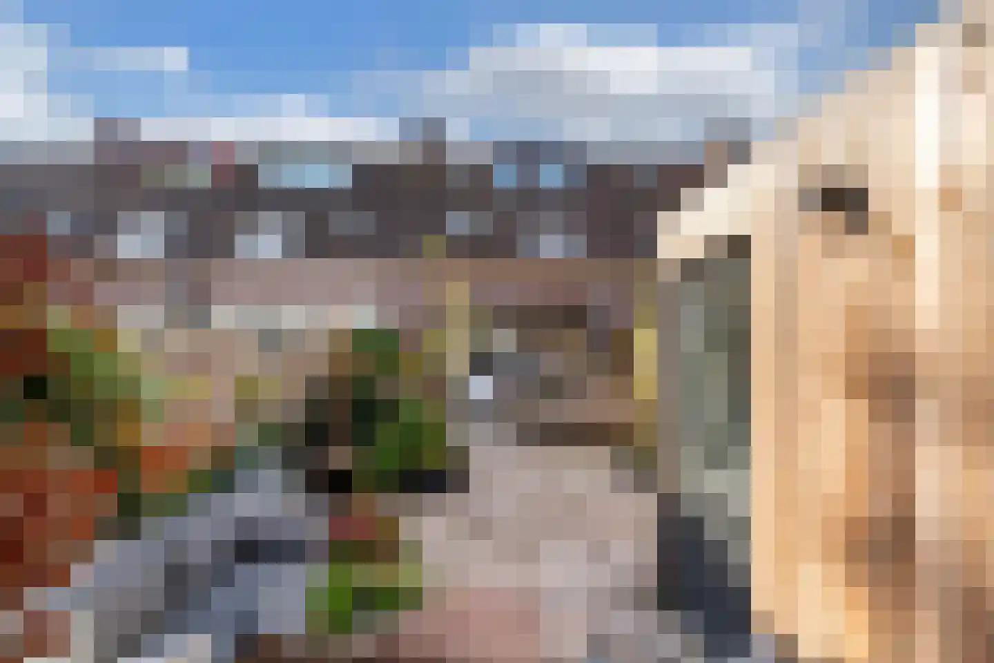 Schapenmeent 162 Almere thumbnail 47