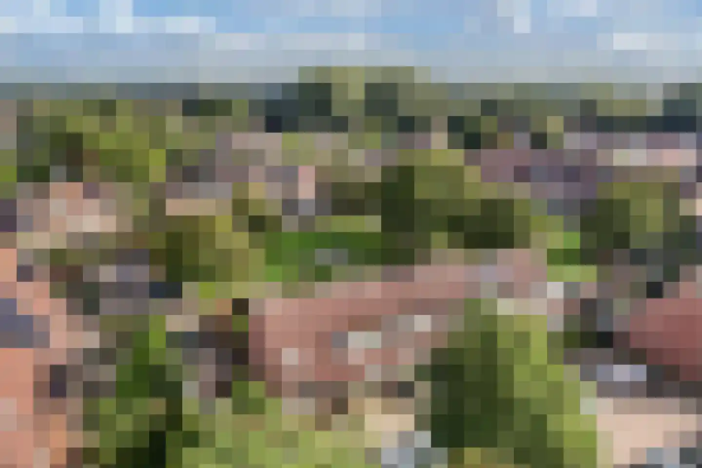 Schapenmeent 162 Almere thumbnail 7