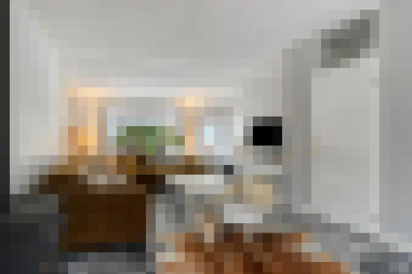Schapenmeent 67 Almere thumbnail 10