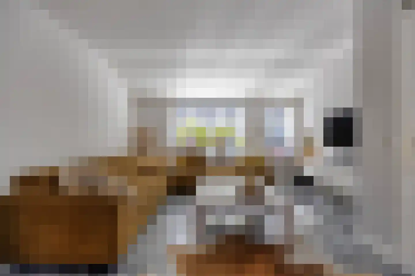 Schapenmeent 67 Almere thumbnail 11