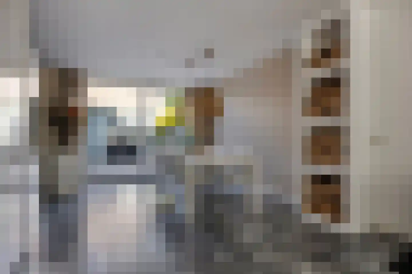 Schapenmeent 67 Almere thumbnail 13