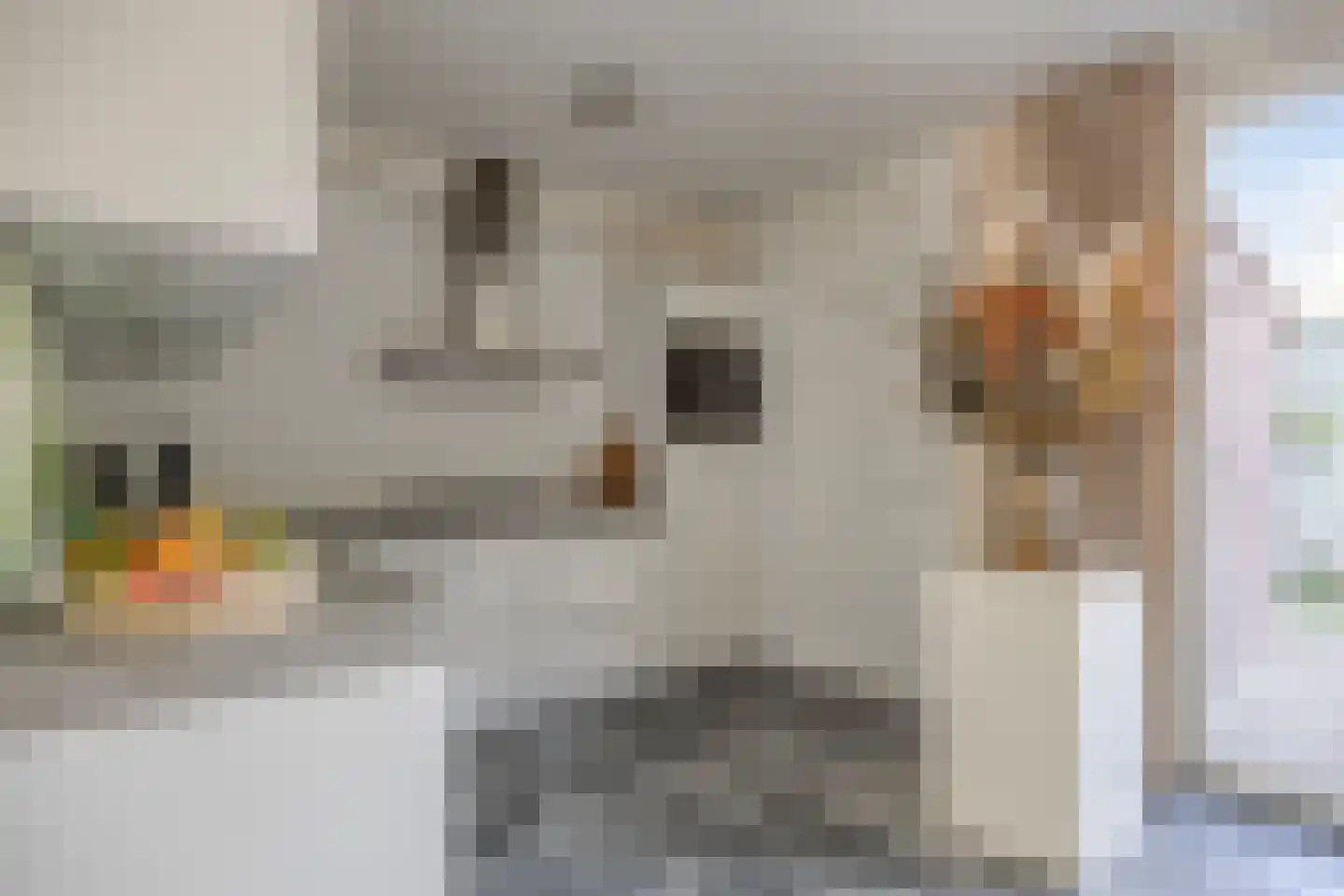 Schapenmeent 67 Almere thumbnail 19