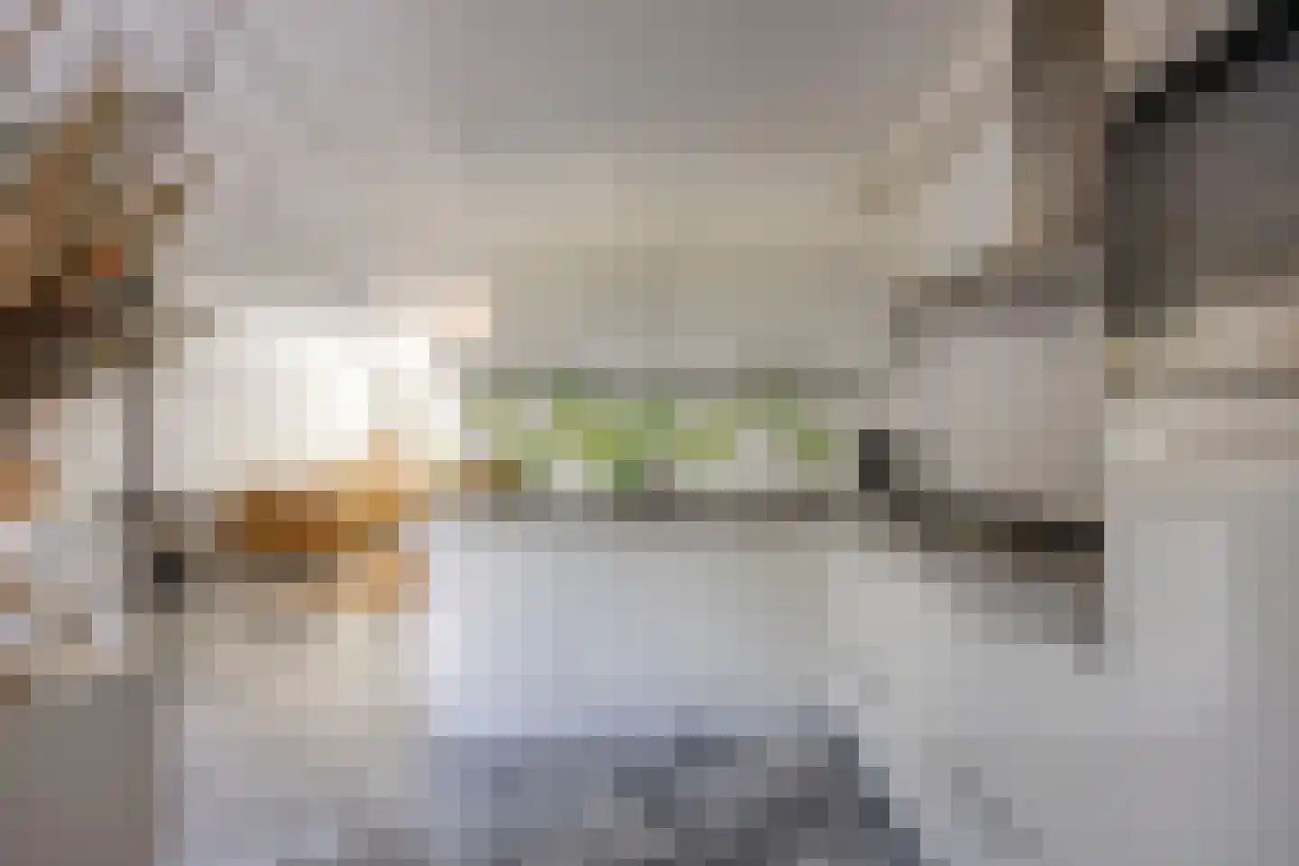Schapenmeent 67 Almere thumbnail 20