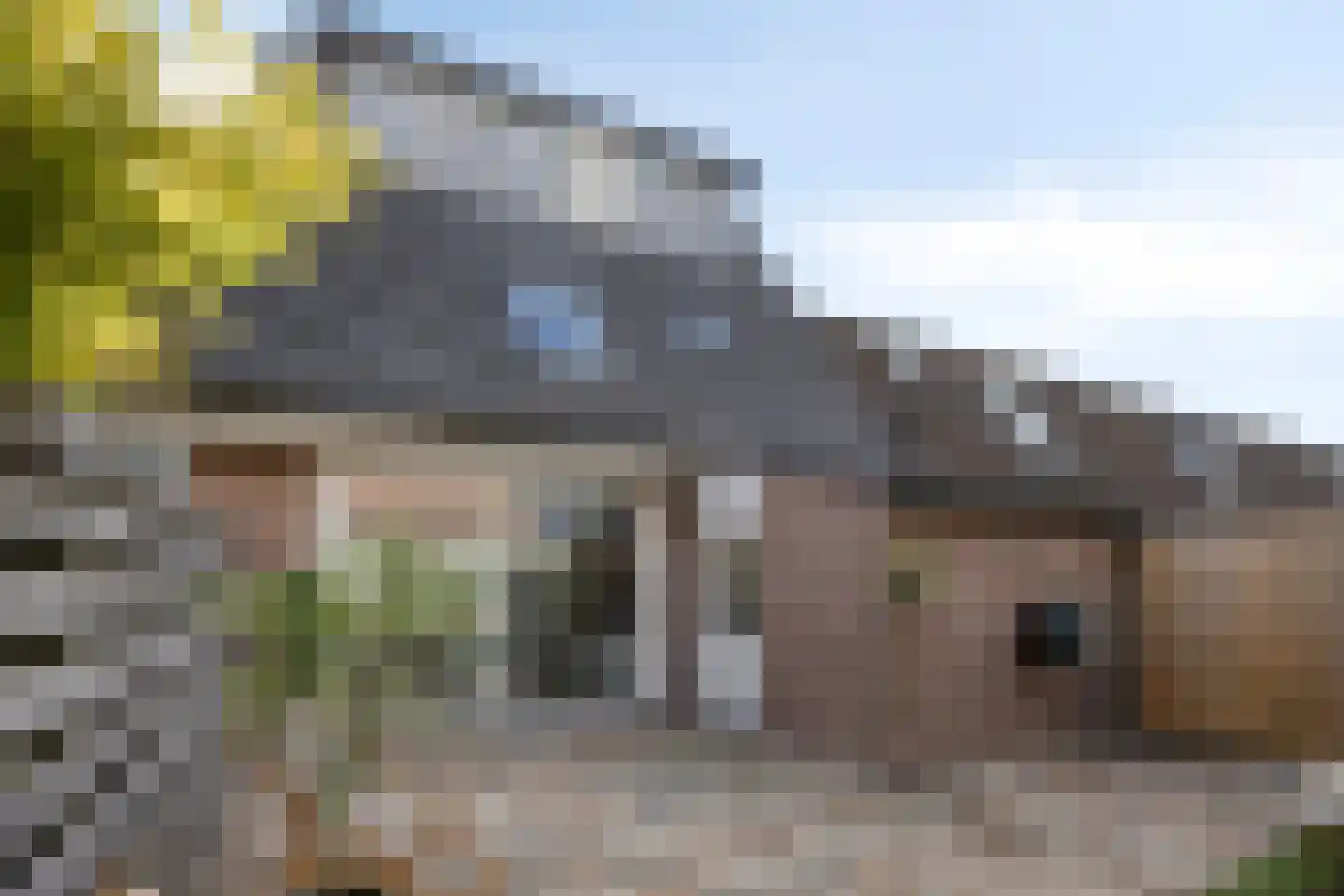 Schapenmeent 67 Almere thumbnail 39