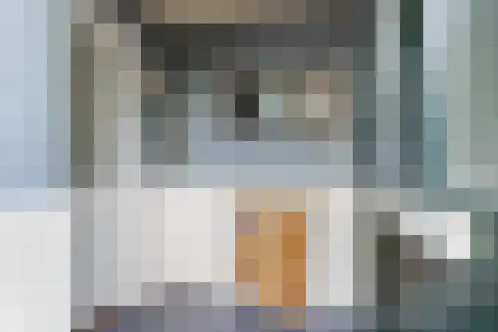 Schapenmeent 86 Almere thumbnail 5