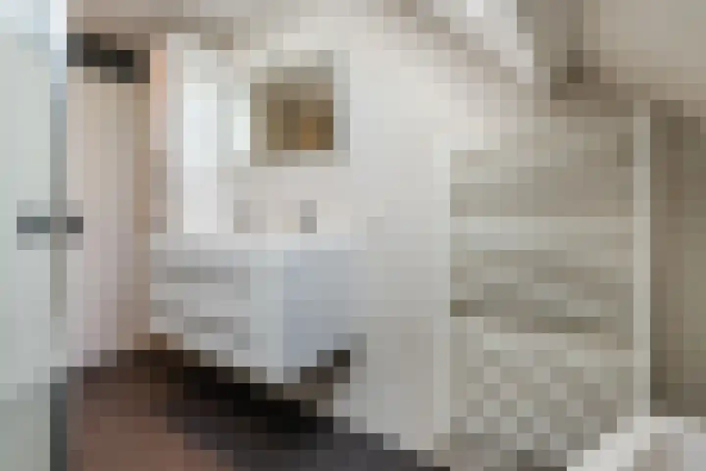 Schapenmeent 88 Almere thumbnail 31