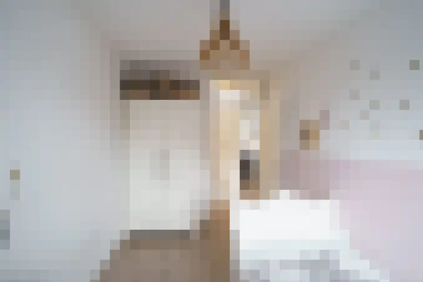 Schapenpad 4 Delft thumbnail 17