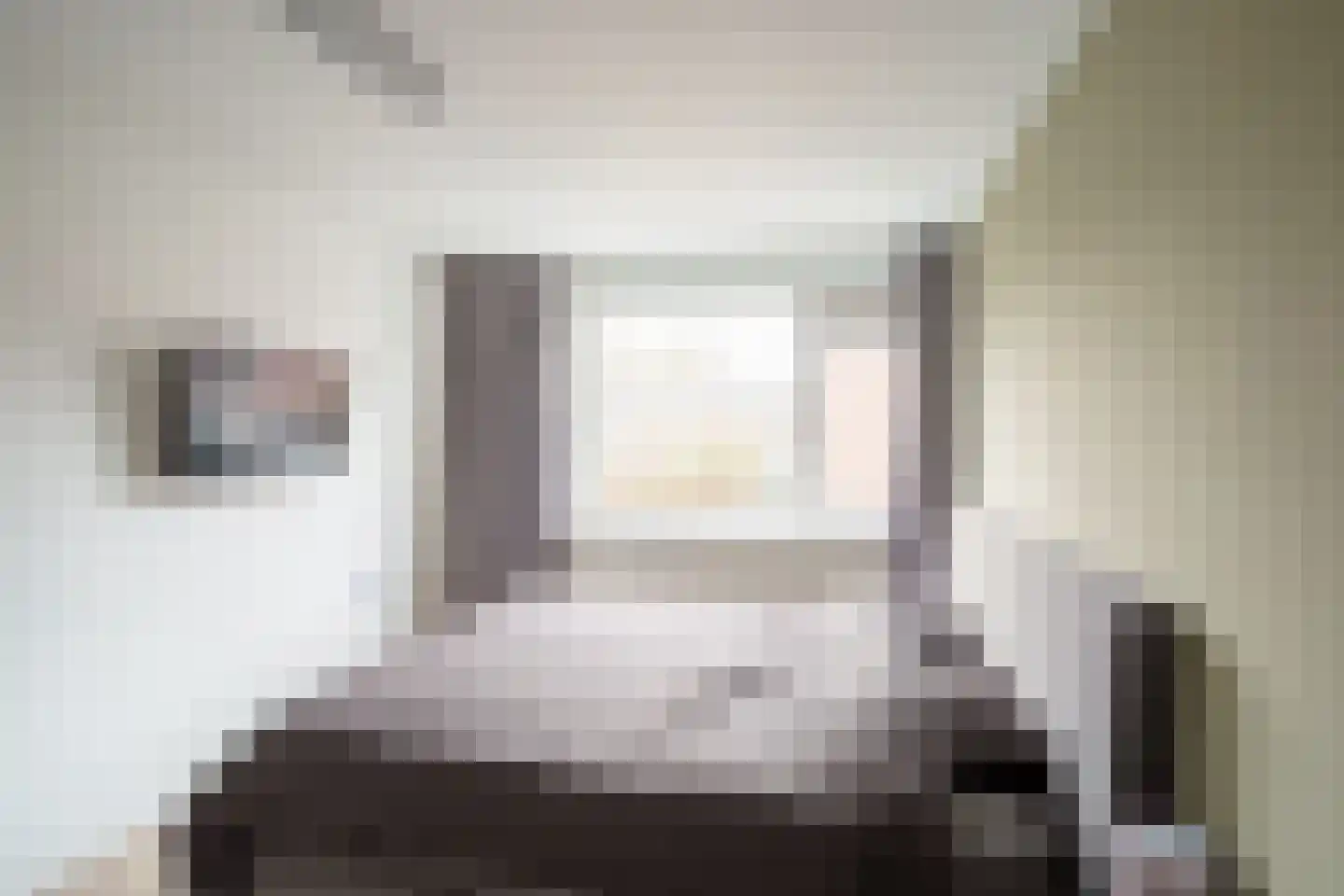 Schapenpad 4 Delft thumbnail 18