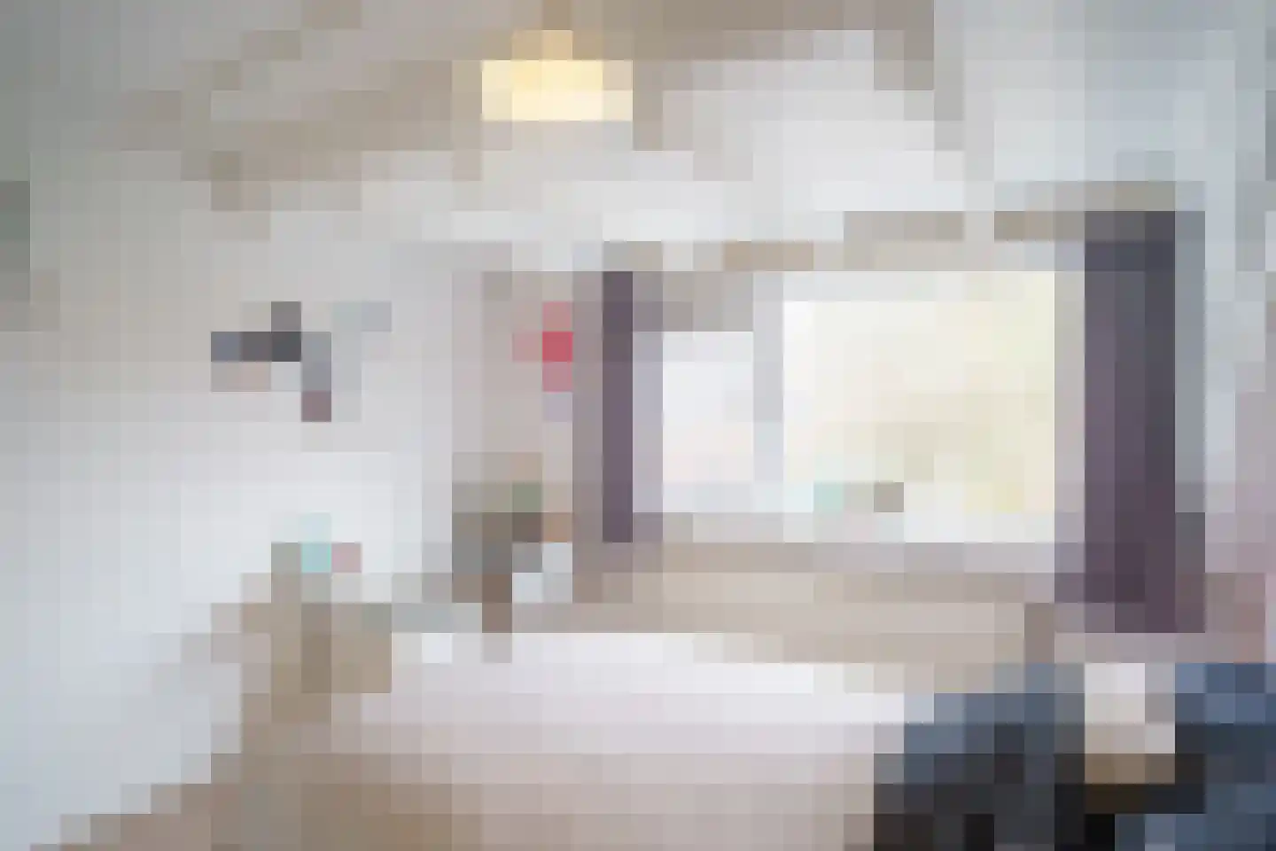 Schapenpad 4 Delft thumbnail 24