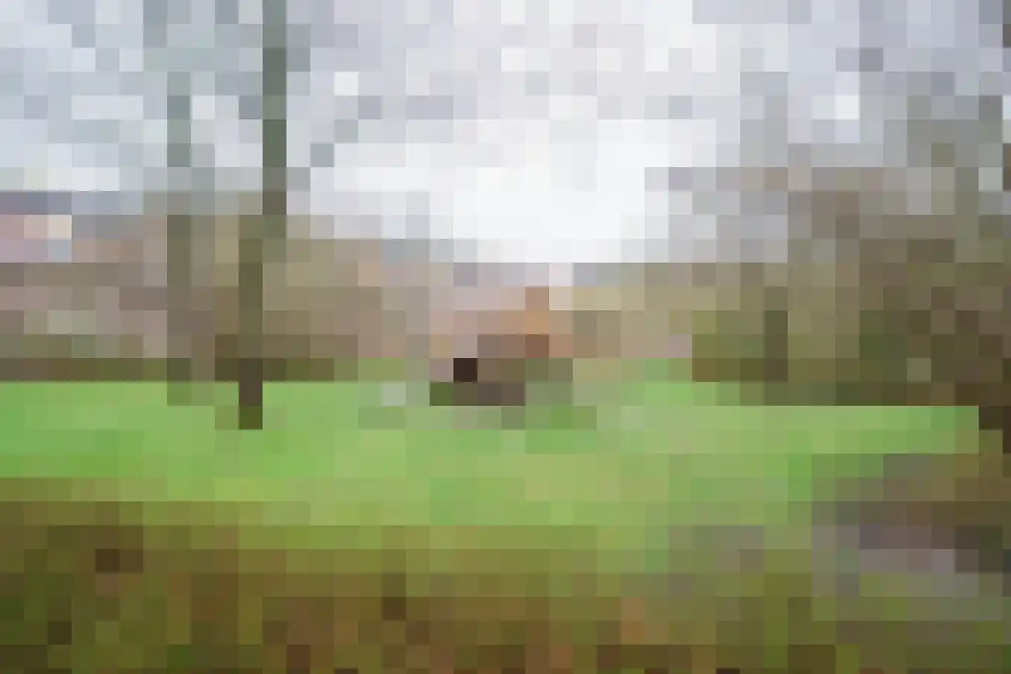 Schapenpad 4 Delft thumbnail 30