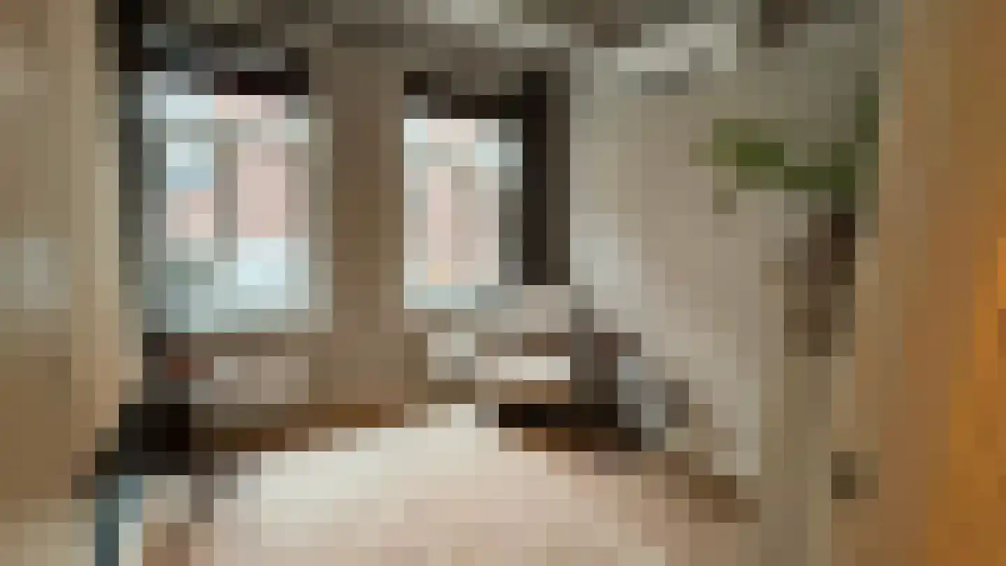 Schapensteeg 19 Kampen thumbnail 12