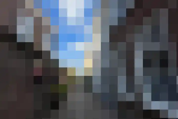 Schapensteeg 19 Kampen thumbnail 16