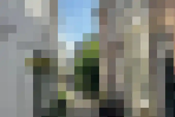 Schapensteeg 19 Kampen thumbnail 17