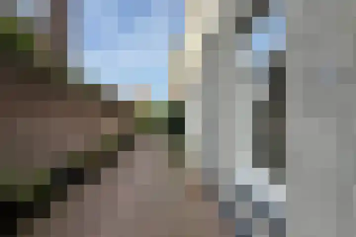 Schapensteeg 19 Kampen thumbnail 19
