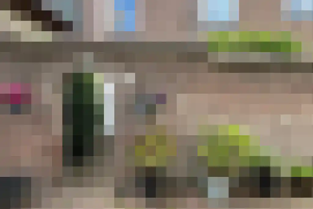 Schapensteeg 19 Kampen thumbnail 19