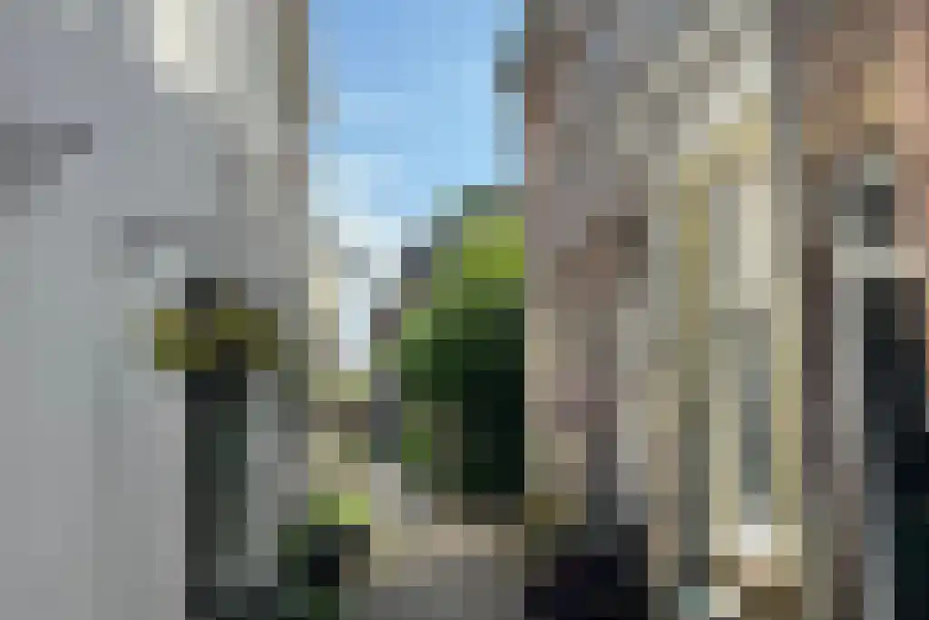Schapensteeg 19 Kampen thumbnail 23