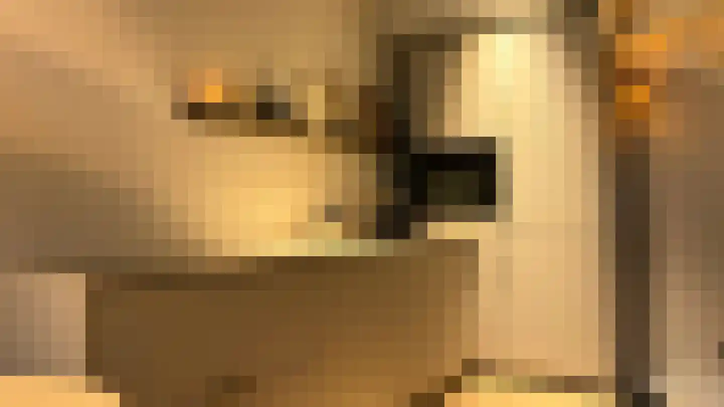 Schapensteeg 19 Kampen thumbnail 6