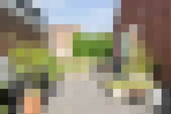 Schapensteeg 26 I Kampen thumbnail 28