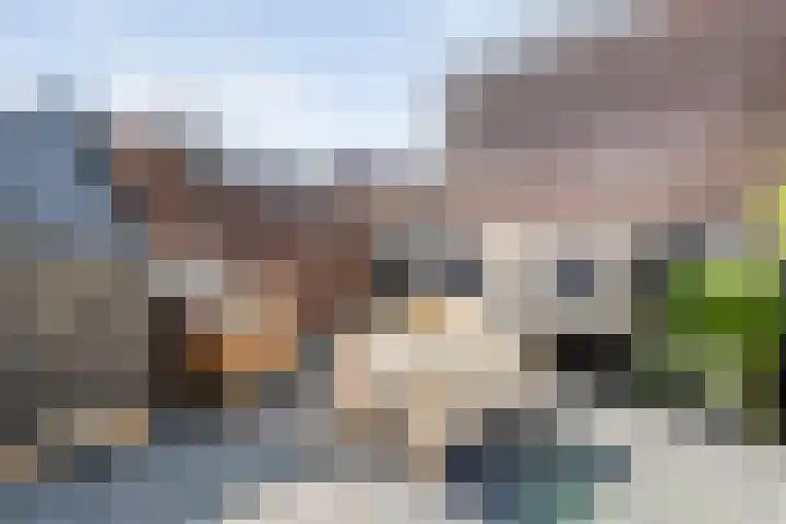 Schapensteeg 26 I Kampen thumbnail 29